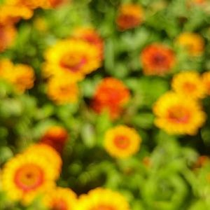 Meet your Posher, Shital